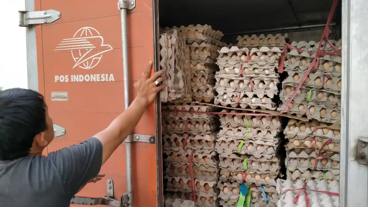 1,2 Ton Telur Ayam Bansos untuk Warga Majalengka Dimusnahkan