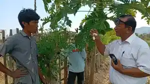 Kosmas-Semen-Janggat-MBF.jpg