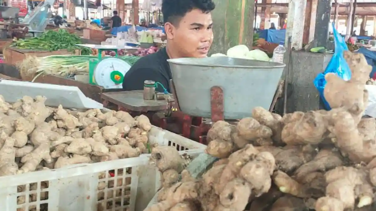 Petani Menjerit, Harga Jahe Anjlok dari Rp 20.000 per Kilogram jadi Rp 7.000