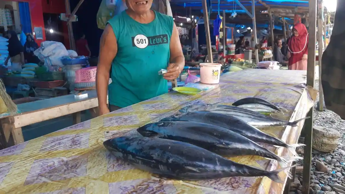 Harga Ikan Cakalang di Halmahera Selatan Capai Rp 75 Ribu per Ekor