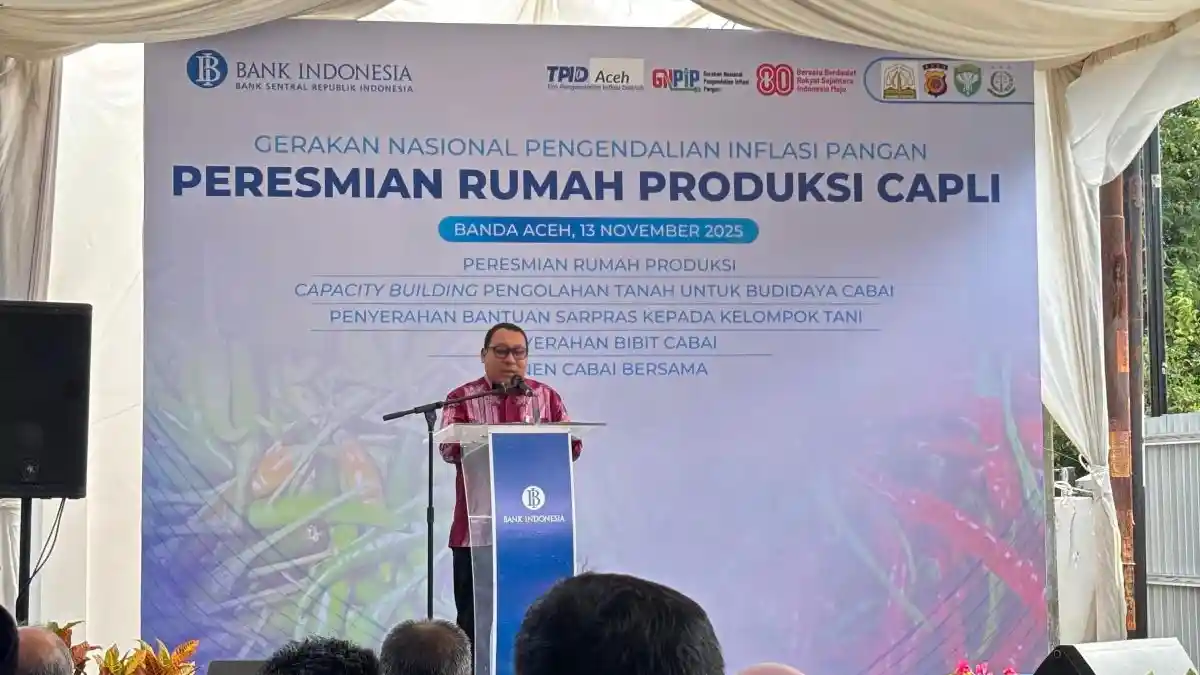 Harga Cabai Naik, BI Aceh Punya Solusi: Bikin Cabai Kering Sendiri Lewat Rumah Produksi Capli!