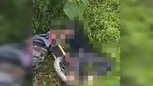 mayat-pria-beserta-satu-sepeda-motor-trail-ditemukan-di-bawah-jembatan-hombis-kendari.jpg