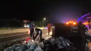 Mobil-pikap-bermuatan-ikan-mas-terguling-di-Tol-Cipularang-1.jpg
