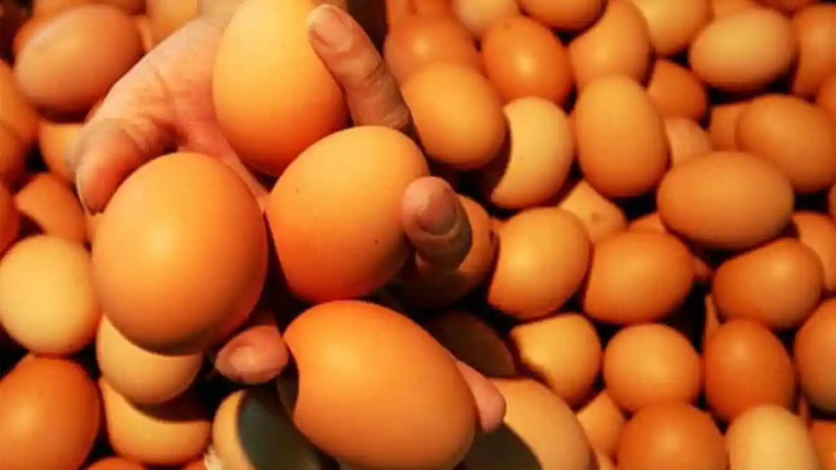 5 Makanan yang Baik untuk Kesehatan Jantung, Tetapi Sering Dianggap Berbahaya Termasuk Telur