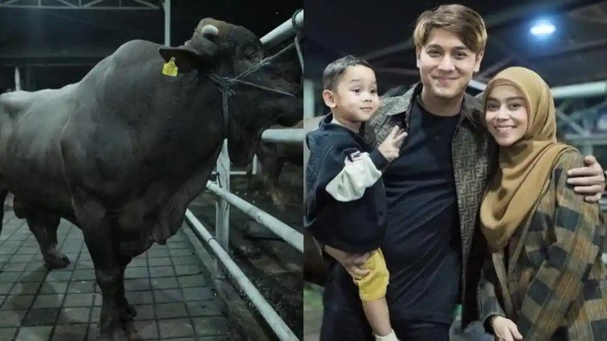 Penampakan Sapi Kurban Lesti Kejora dan Rizky Billar Dipilih untuk Idul Adha, Postingan Disorot