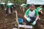 Penanaman 10.000 Bibit Pohon Kopi Gunung Puntung Bandung