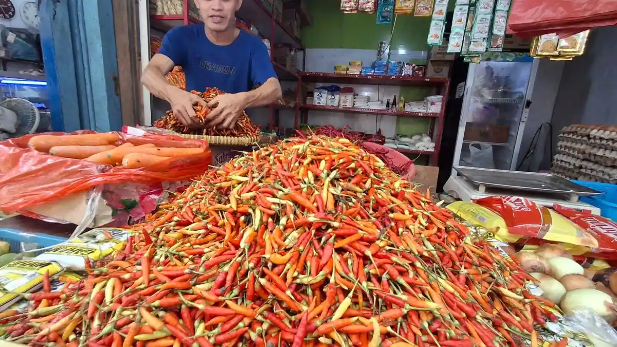 Sepekan Jelang Hari Raya Idul Adha, Harga Cabai Rawit di Tarakan Tembus Rp100 Ribu Per Kilogram