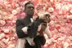 Pet Gala Saingan Met Gala yang Menggemaskan