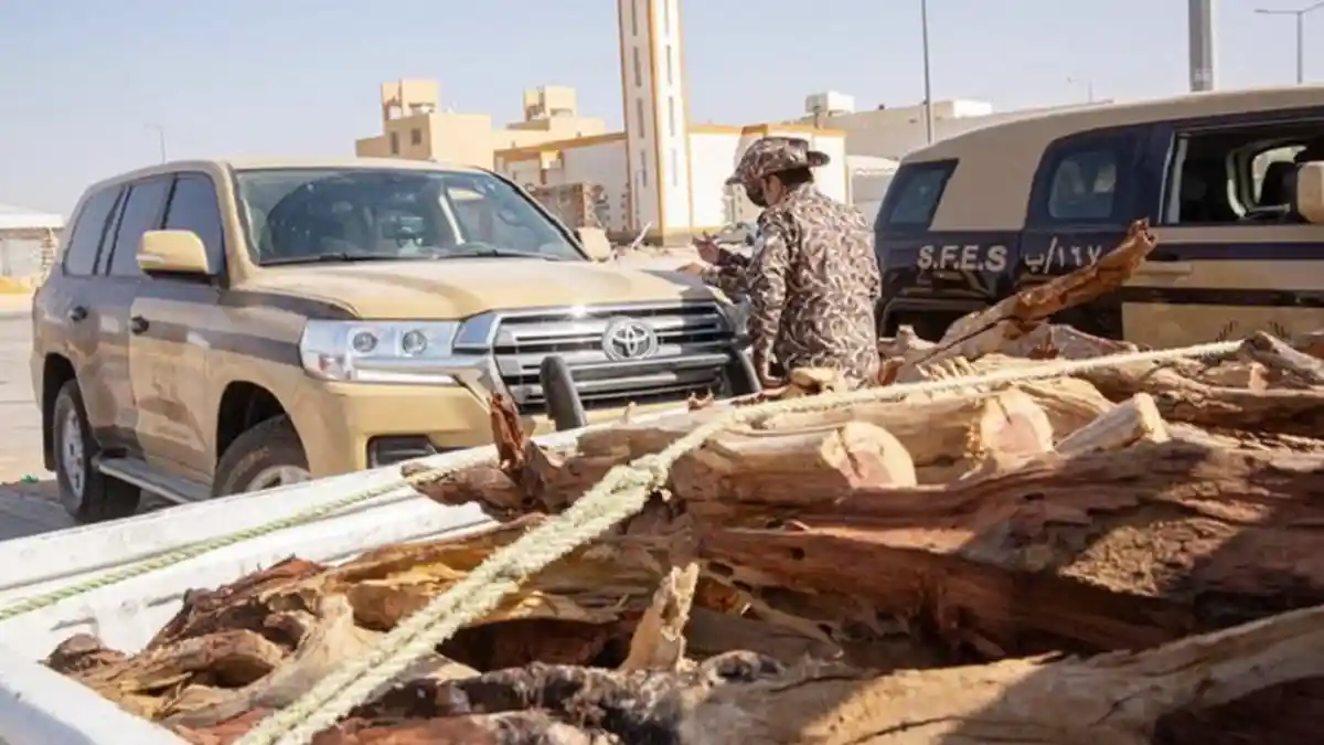 Arab Saudi Sita 120 Ton Kayu Bakar Dari Sejumlah Kota