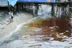 Limbah Minyak Cemari Pemukiman Warga