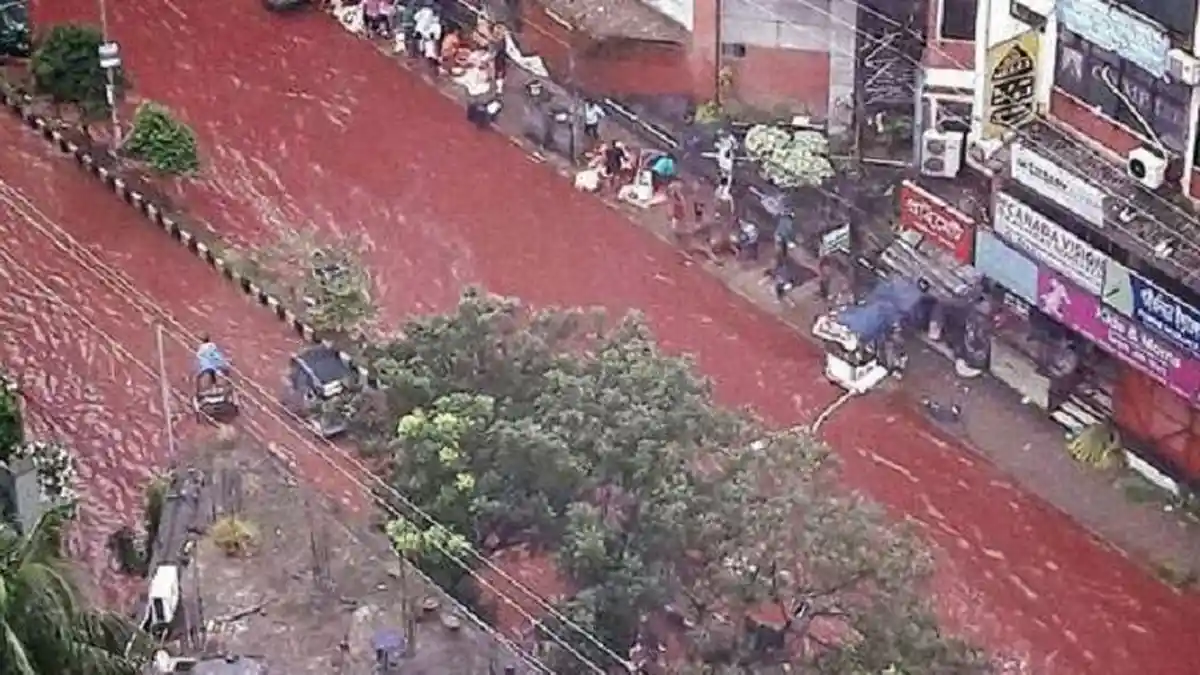 Heboh, Jalan di Dhaka Menjadi Sungai Darah Saat Perayaan Idul Adha