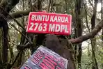 Puncak-Gunung-Buntu-Karua-4.jpg