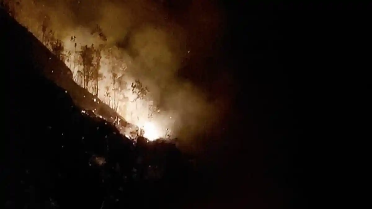 Sekitar 15 Hektare Lahan Gambir dan Lahan Kosong Terbakar di Bukit Taratak, Pesisir Selatan