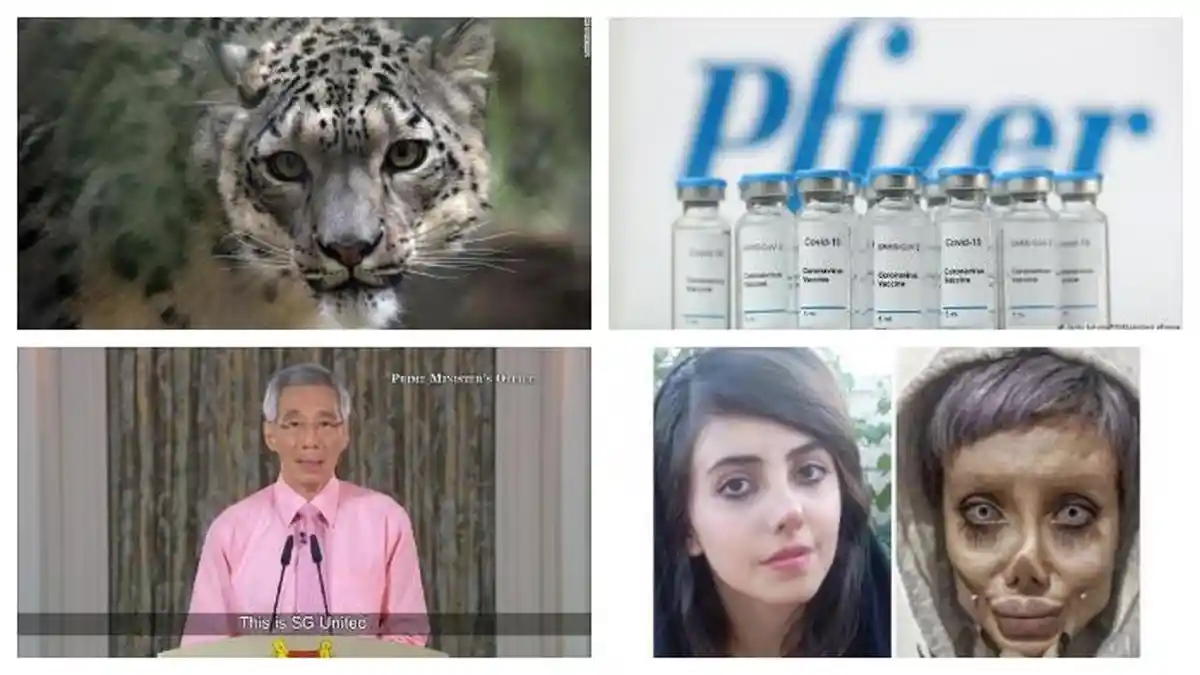 POPULER Internasional: Macan Tutul Positif Covid-19 | Profil Selebgram yang Divonis Penjara 10 Tahun