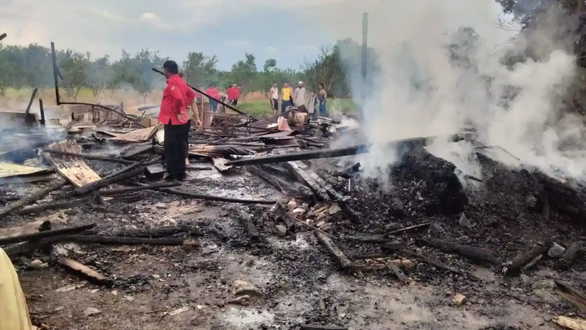 Kandang Terbakar, 12 Ekor Kambing Milik Warga Sambas Terpanggang Api