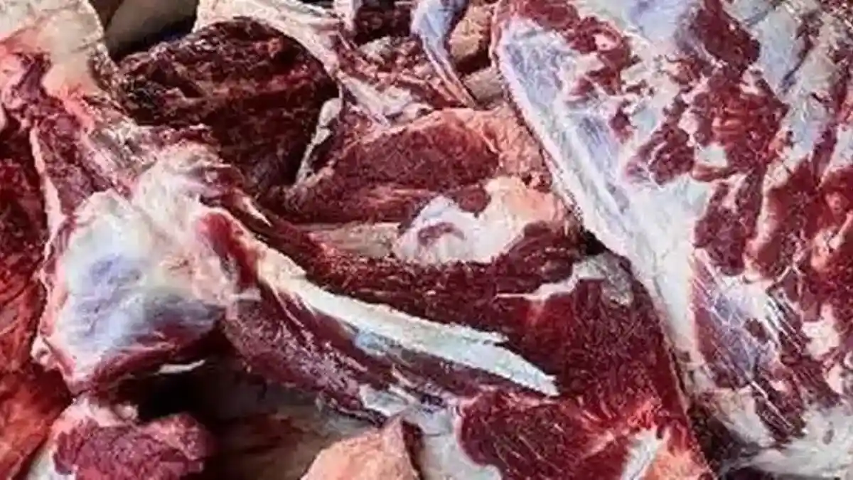 Lapas Kelas II A Pangkalpinang Berbagi Daging Kurban
