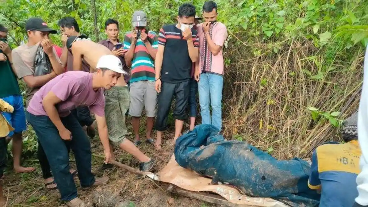 Identitas Mayat Dikubur di Kebun Karet Empat Lawang Terungkap, Dibunuh Anak Tiri