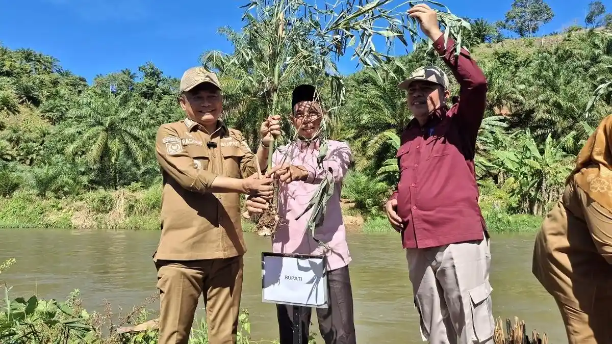 Bupati Bengkulu Tengah Rachmat Riyanto Mulai Program Kalamambu, Siapkan Bibit Kalamansi dan Bambu - Bupati-2-Tengah-Rachmat-Riyanto-Mulai-Program-Kalamambu-Siapkan-Bibit-Kalamansi-dan-Bambu.jpg