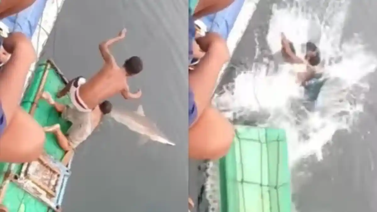 Viral Momen Menegangkan Dua Pria Tercebur Saat Mancing Hiu, Warganet : Niat Mancing Malah Jadi Umpan