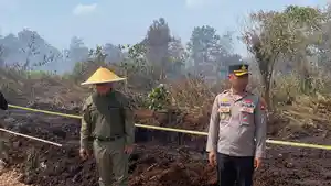 berkan-empat-wilayah-yang-rawan-Karhutla.jpg
