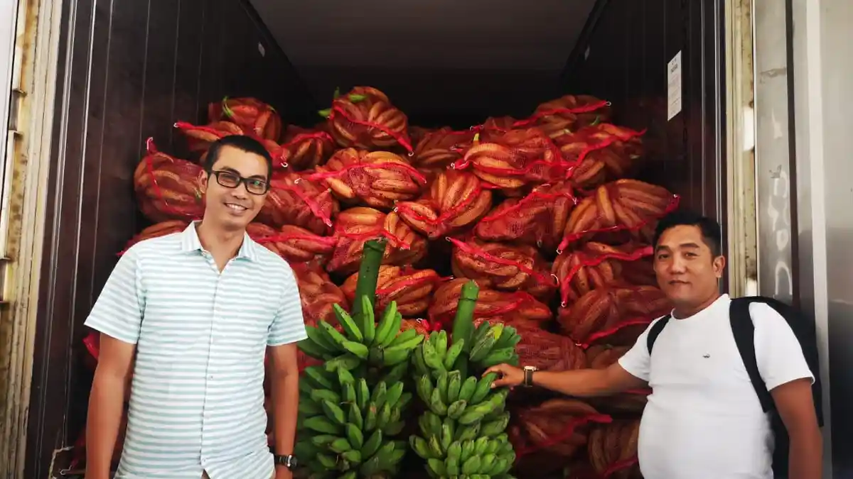 Pisang Indonesia Masuk Pasar Malaysia