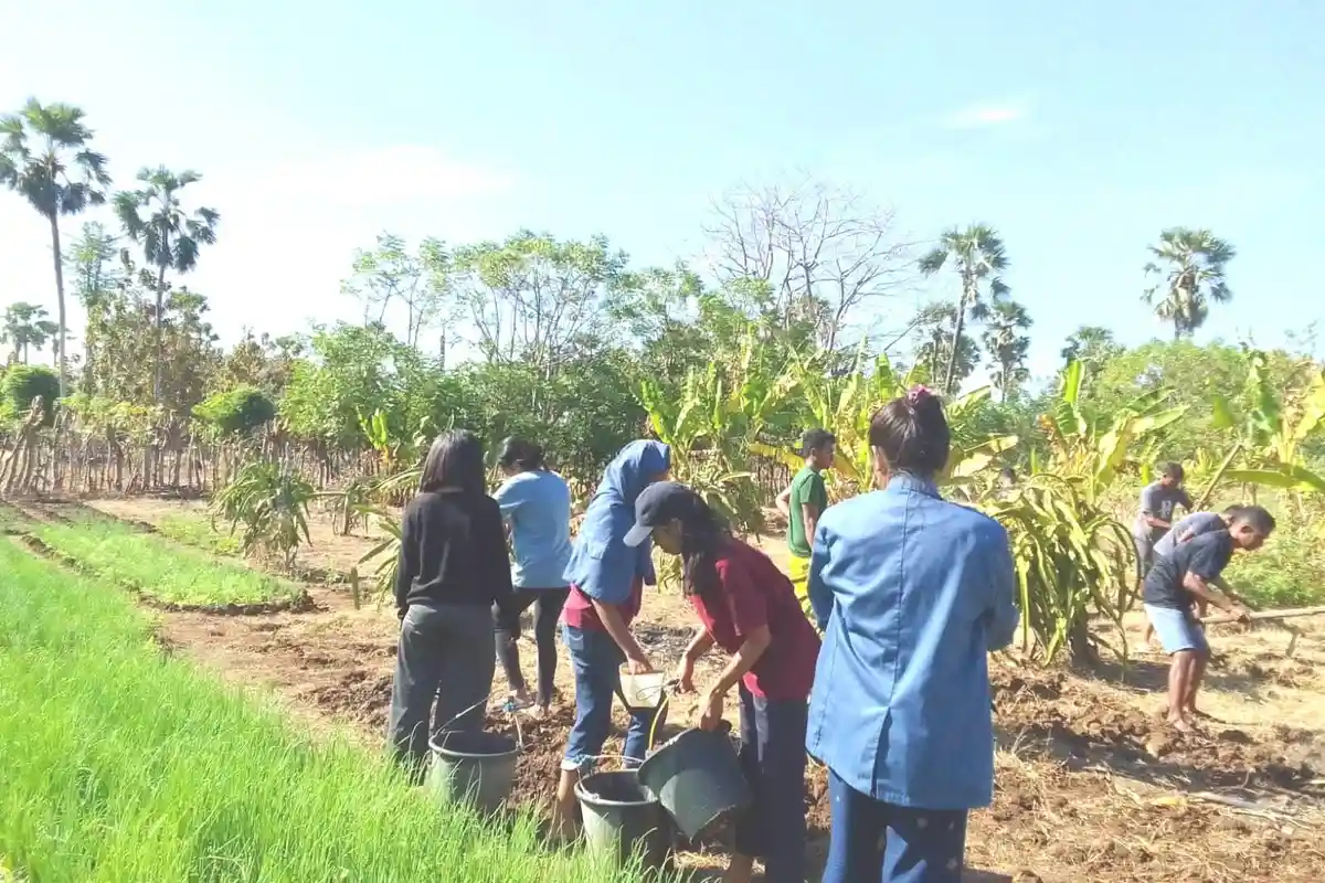 Cegah Stunting Desa Kuanheun Kecamatan Kupang Barat, Mahasiswa KKN Unwira Dirikan Kebun Gizi