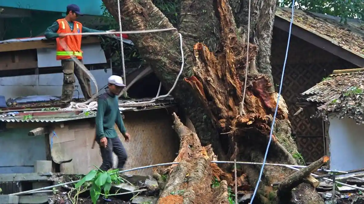 Menjelang Februari, Waspadai Cuaca Ekstrim! Ini Bencana yang Mungkin Terjadi