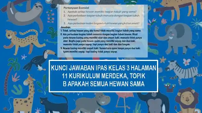 Tribun