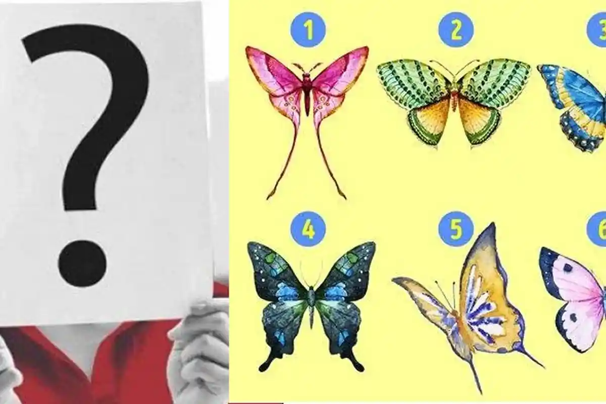 Tes Kepribadian Gambar - Pilih Tipe Kupu-kupu yang Disuka, Ungkap Karakter Aslimu, Nomor 4 Ambisius