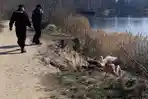 Sudah Tak Pakai Masker, Pria Ini Juga Telanjang di Tempat Umum Saat Pendemi Corona, Reaksi Polisi?