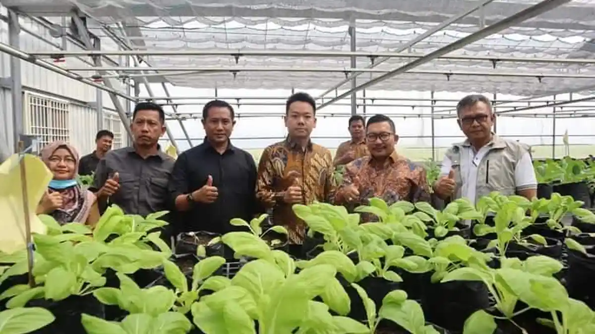 Pemkab Banggai Matangkan Program 1 Juta 1 Pekarangan Lewat Hortikultura Modern