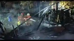 talang-akar-kebakaran.jpg