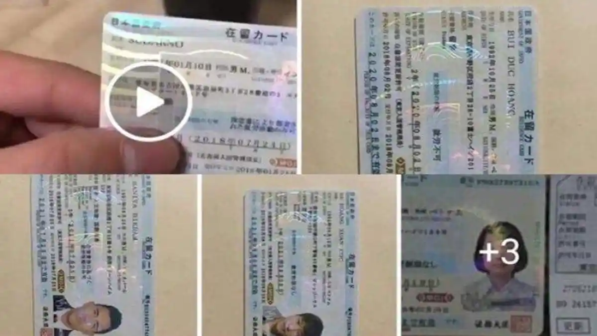 Setiap Hari Produksi 200 KTP Palsu Jepang, 4.279 Pengguna Berhasil Ditangkap Polisi