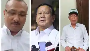 PERINTAH-JOKOWI-Politikus-PDI-Perjuangan-Ferdinand-Hutahaean.jpg