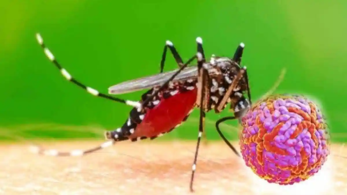 Kasus DBD di Malaka Terdata 52 Sembuh, 2 Orang Masih Dirawat di RSPP Betun