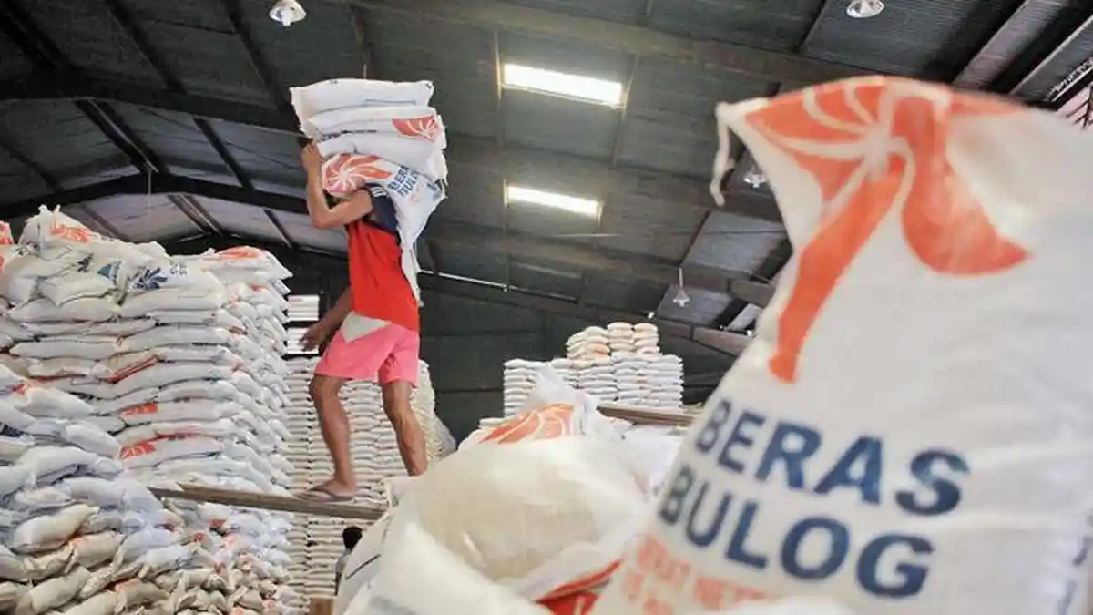 Kansilog Bulog Wamena Siap Dukung MBG 6 Kabupaten 