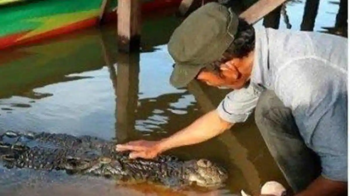 Viral Video Pria di Bontang Bersahabat dengan Buaya Bernama Riska, Dianggap Seperti Anak Sendiri
