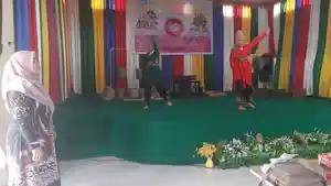 FLS3N.jpg