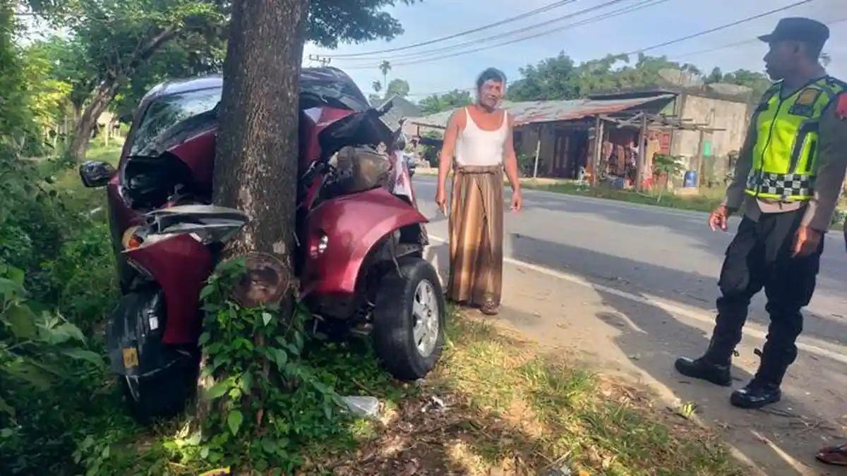 Avanza Tabrak Pohon di Pidie Jaya, Seorang Warga Kota Langsa Meninggal, 2 Luka-luka