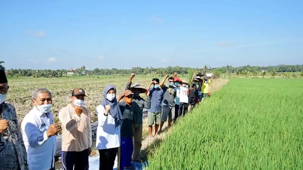 Banyuwangi Luncurkan ‘Pas Kontan’, Platform Digital Berbagai Layanan Pertanian