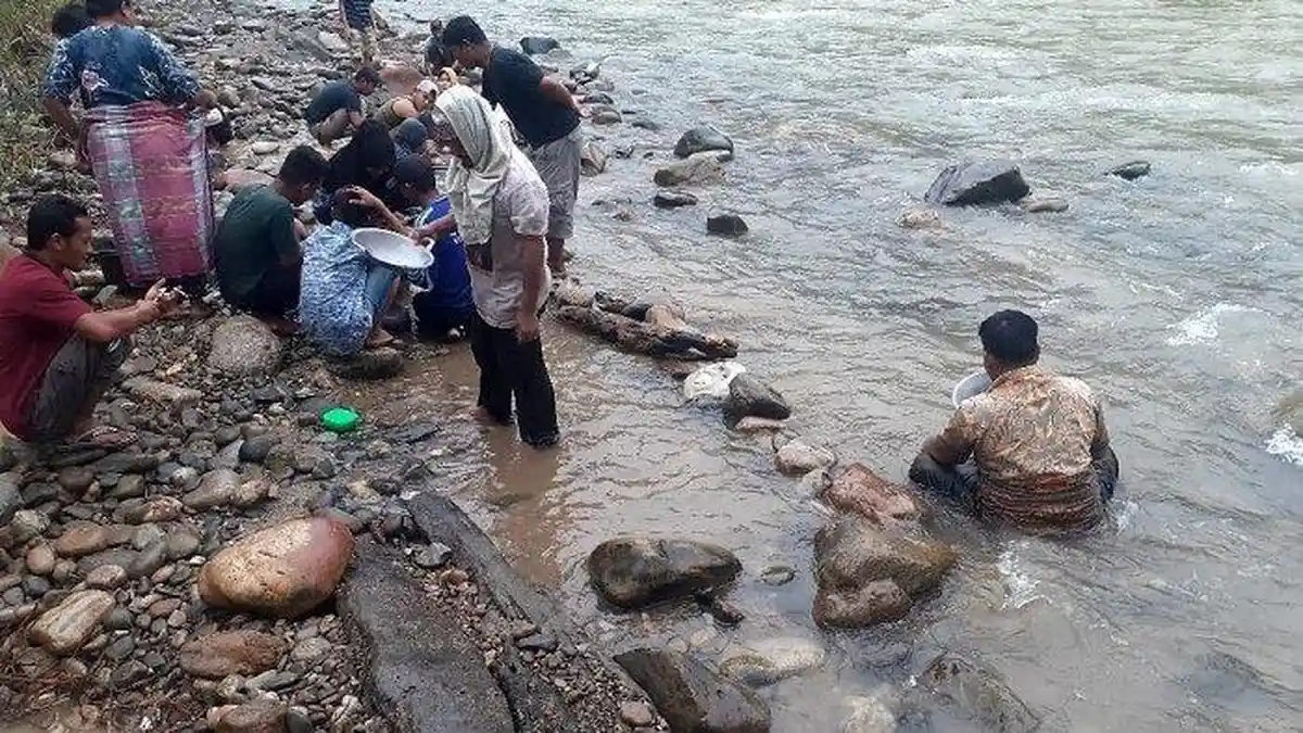 Tiba-tiba Banyak Butiran Emas Muncul di Sungai, Warga Sampai Dapat Uang Segini Setiap Harinya