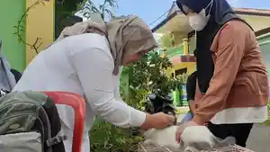 Jual-Daging-Kucing-Ngaku-Kambing-Warga-Pagar-Alam-yang-Terlanjur-Makan-Segera-Periksa-ke-Dokter.jpg
