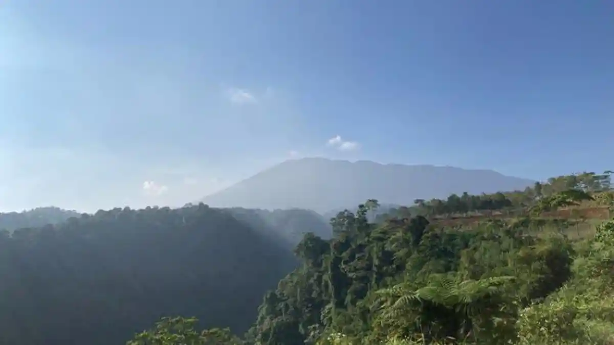 5 Tempat Wisata di Ketinggian Bogor, Tawarkan Keindahan Alam yang Terbentang Luas