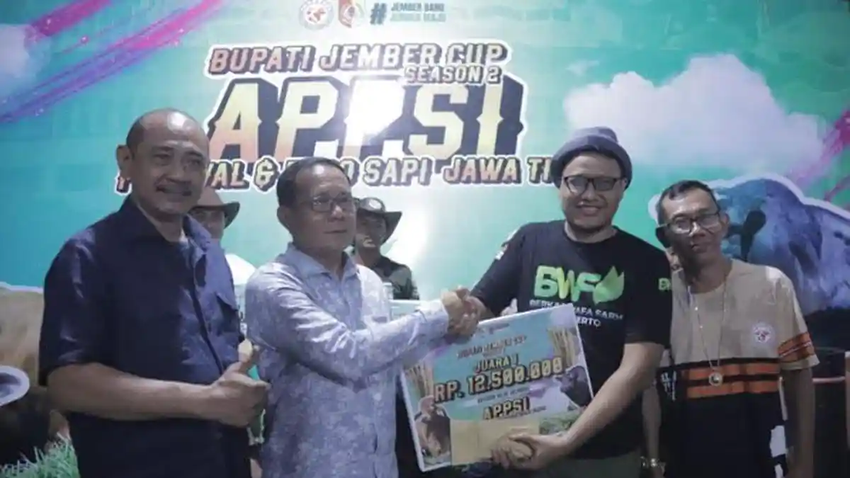 Sapi Sapu Jagat Tak Hanya Juara Bupati Jember Cup 2025, Tapi Juga Pecahkan Rekor Nasional