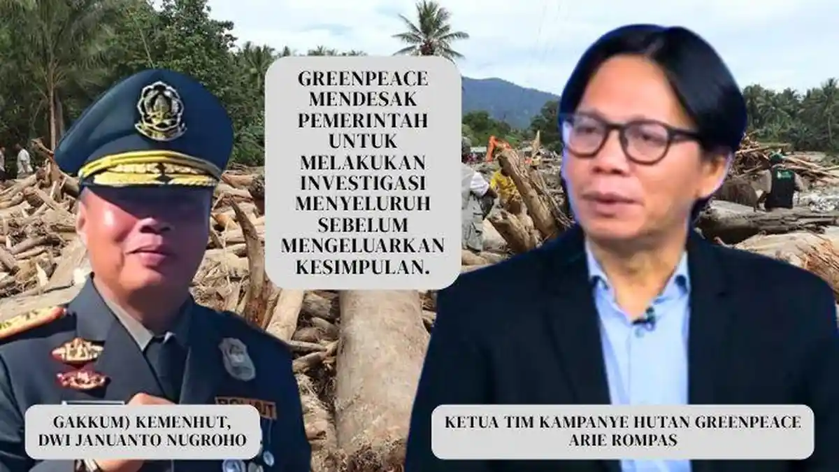 Greenpeace Desak Investigasi! Bantah Klaim Kayu Hanyut Kemenhut: Bukan ...