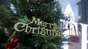 pemprov-dki-jakarta-pasang-pohon-natal-raksasa-dari-botol-bekas_20191221_213359.jpg