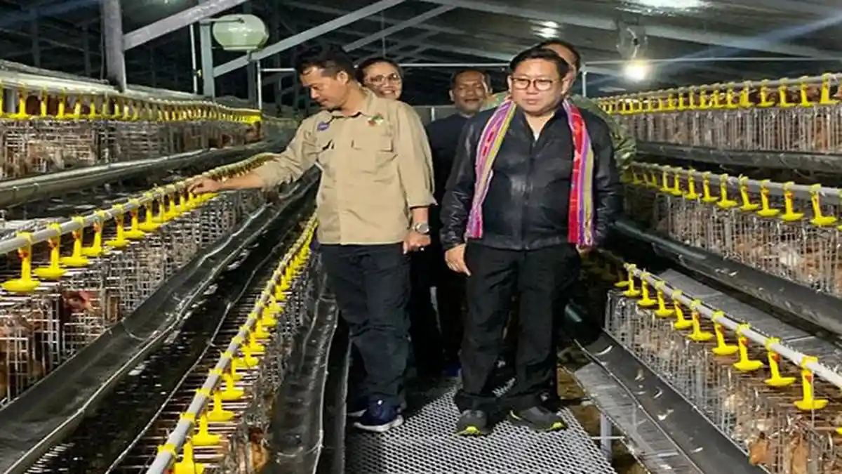Dukung Program Makan Gratis, Kementan Dorong Perluasan Peternakan Ayam Petelur Berbasis Cluster.