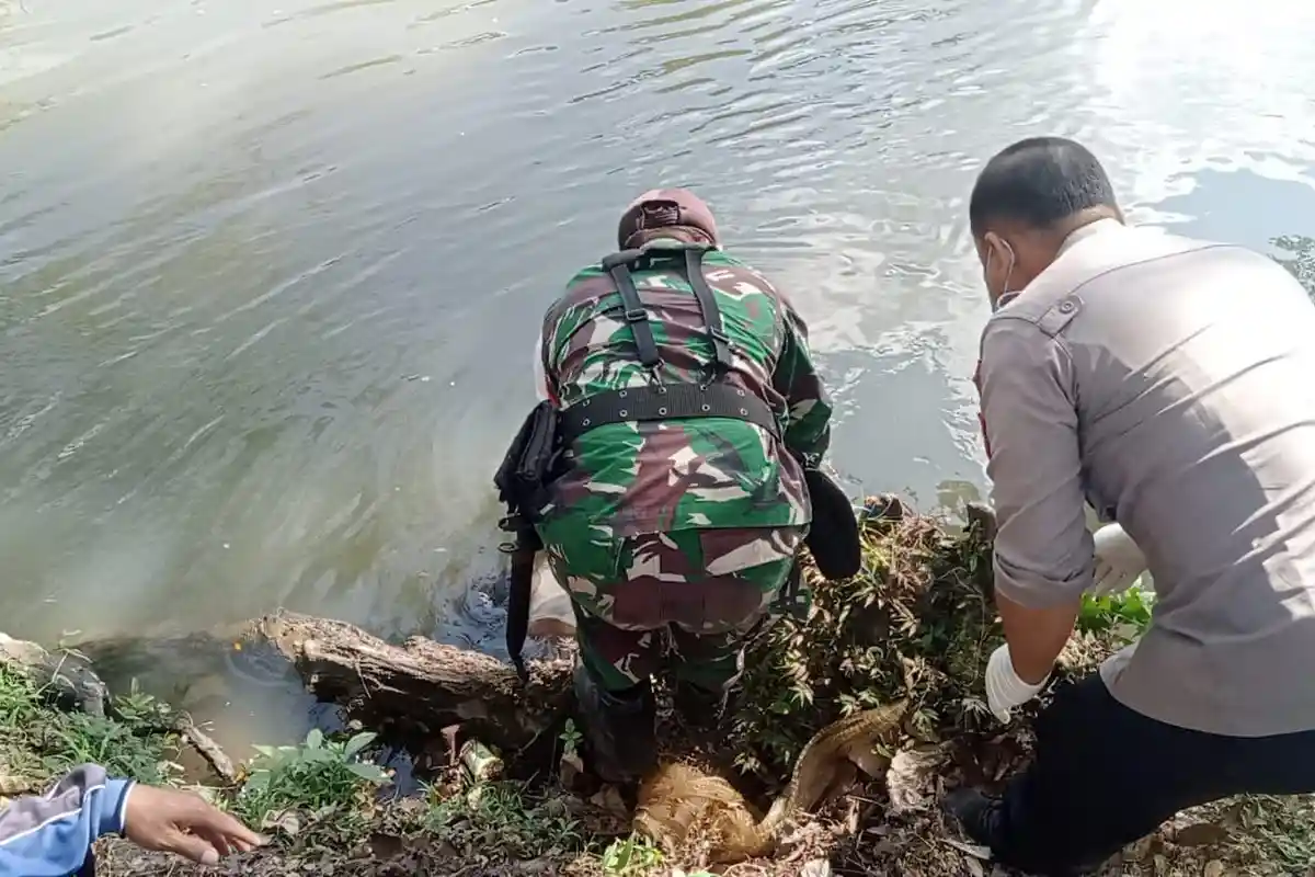 Pamit Jala Ikan, Nasib Lansia Berujung Tragis, Ditemukan Tewas Mengambang di Sungai Baru Banyuwangi
