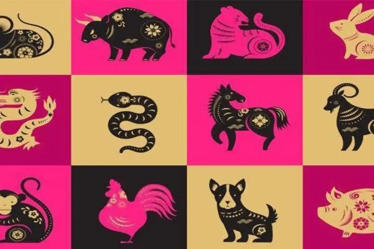 Jangan Lupa Ditabung! 3 Shio Bakal Dihantam Rezeki Besar-besaran di Tahun 2023, Termasuk Shio Naga