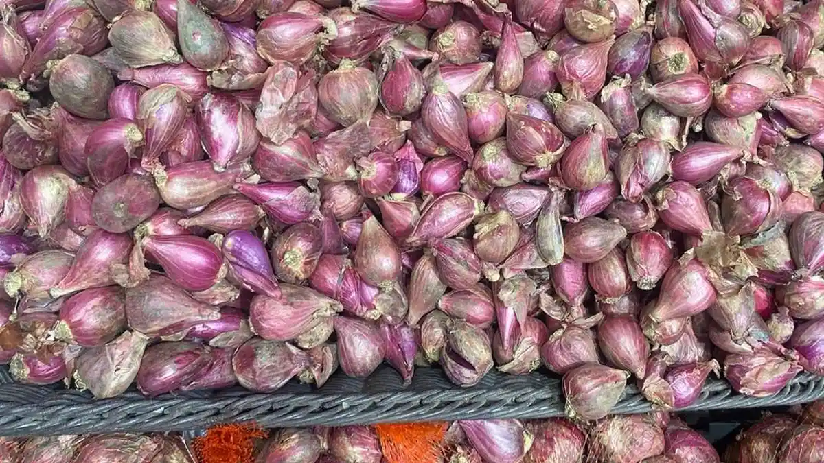 Pedagang Soroti Harga Bawang Merah Mahal, Minta Pemerintah Lakukan Hal Ini